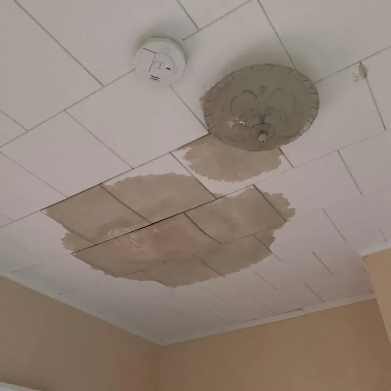Ceiling Water Damage Repair in Bloomingdale, TN