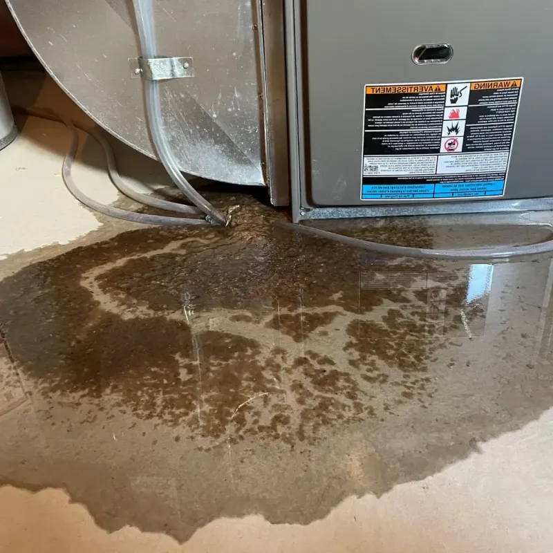 Pipe Burst and Leak Restoration in Bloomingdale, TN