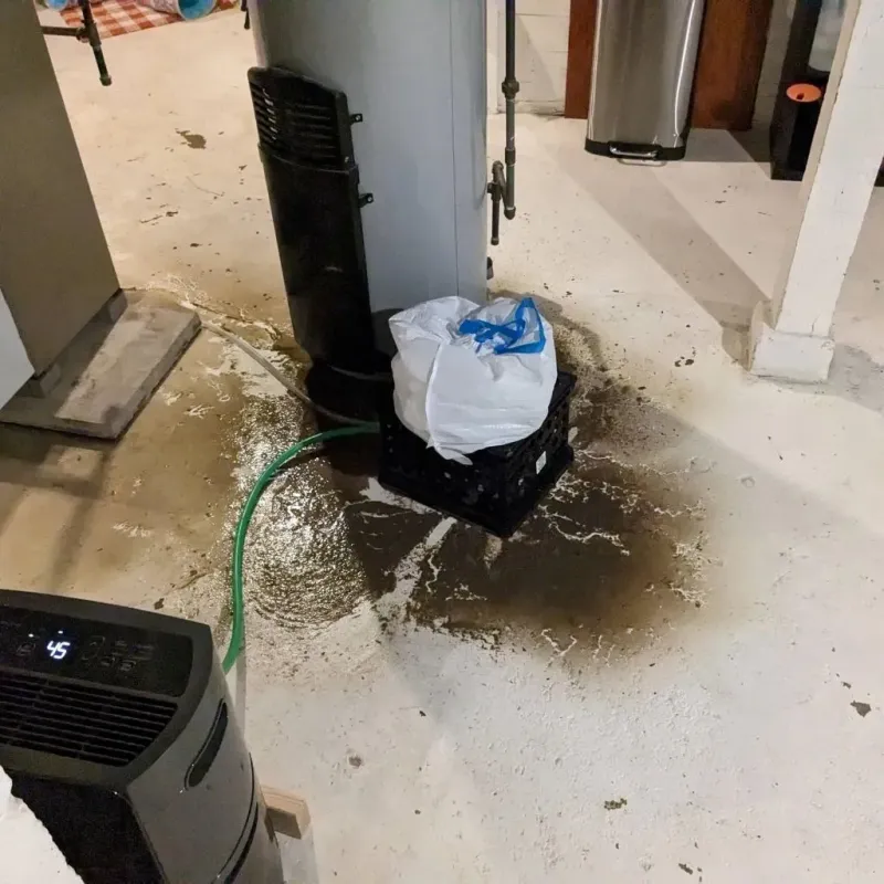 Sewage Backup Cleanup Service in Bloomingdale, TN